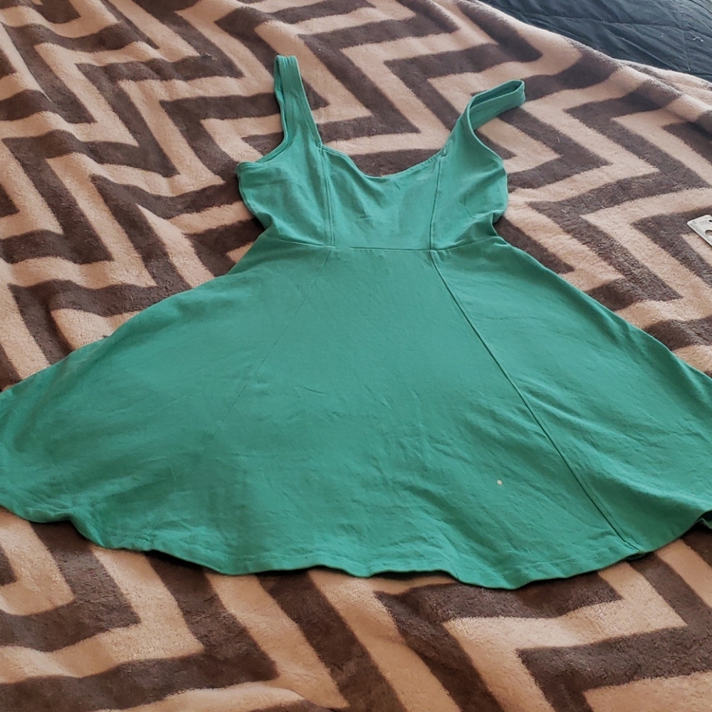 Express Mint Green Skater Dress